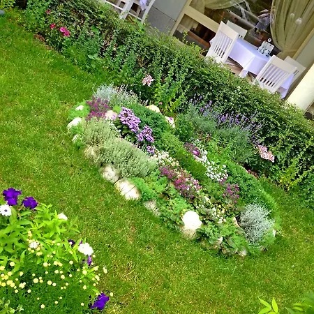 Hotel Kalofer Sunny Beach