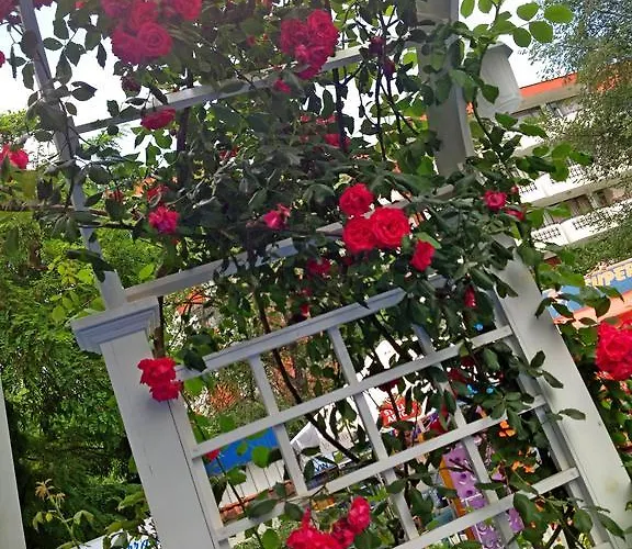 Kalofer 3* Napospart